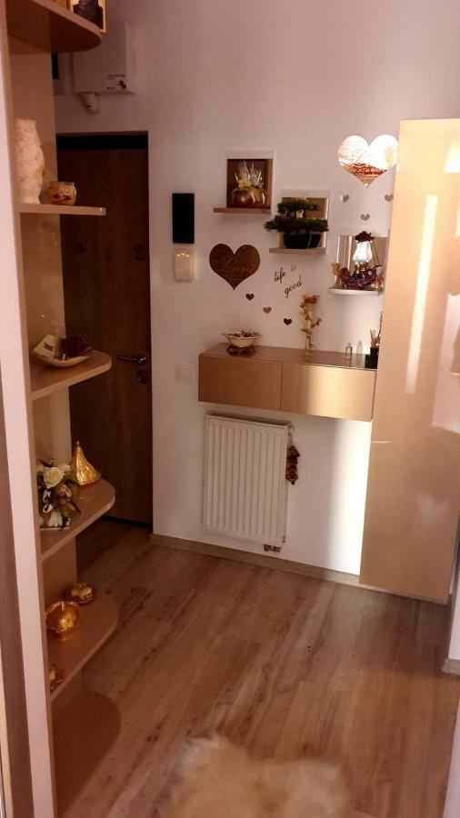 Apartmán Apartament Radmila Arad Exteriér fotografie